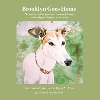 Couverture de Brooklyn Goes Home