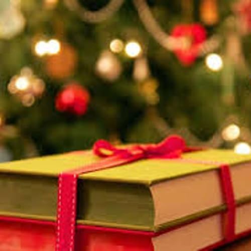 Des livres pour No&euml;l avec la librairie SILOE