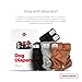 Pet Parents® Washable Dog Diapers (3pack) + Extendrs® of Durable Doggie Diapers, Premium Dog Diapers Female (X-Small, Natural)