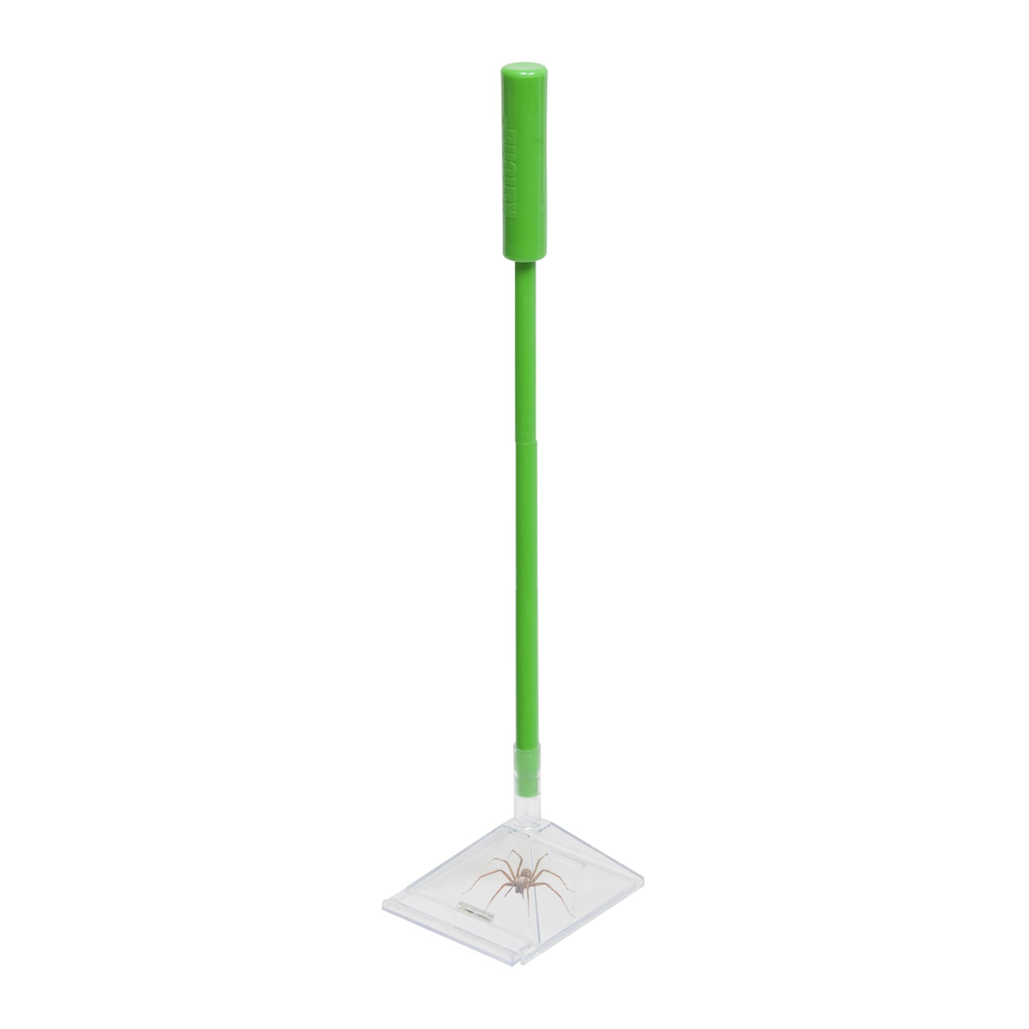 Katcha® Bug - Spider Trap - 72cm long! Catch spiders & bugs at arms length!
