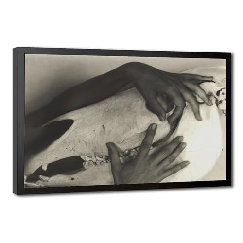 Toile crâne de 1931 Georgia O'keeffe aux détails saisissants 30x45cm