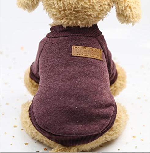 labrador puppy clothes