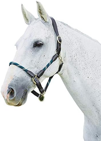 Kincade Leather Rope Halter, Hunter Green/Brown, Full