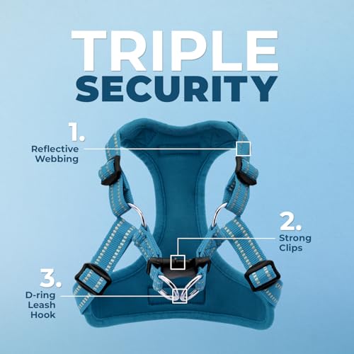 Image of Best Pet Supplies Voyager Adjustable Step-in Flex Breathable Mesh Dog Harness for Small Medium Large Dogs Leash Set (Turquoise), XL