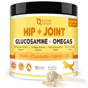 Glucosamine for Dogs – Joint Supplement for Dogs Powder, Chondroitin, MSM, Turmeric, Omega 3 for Dogs, Support Hip and Joint Mobility – Joint Pain Relief, Dog Joint Supplement Large Breed, 9.52 Oz