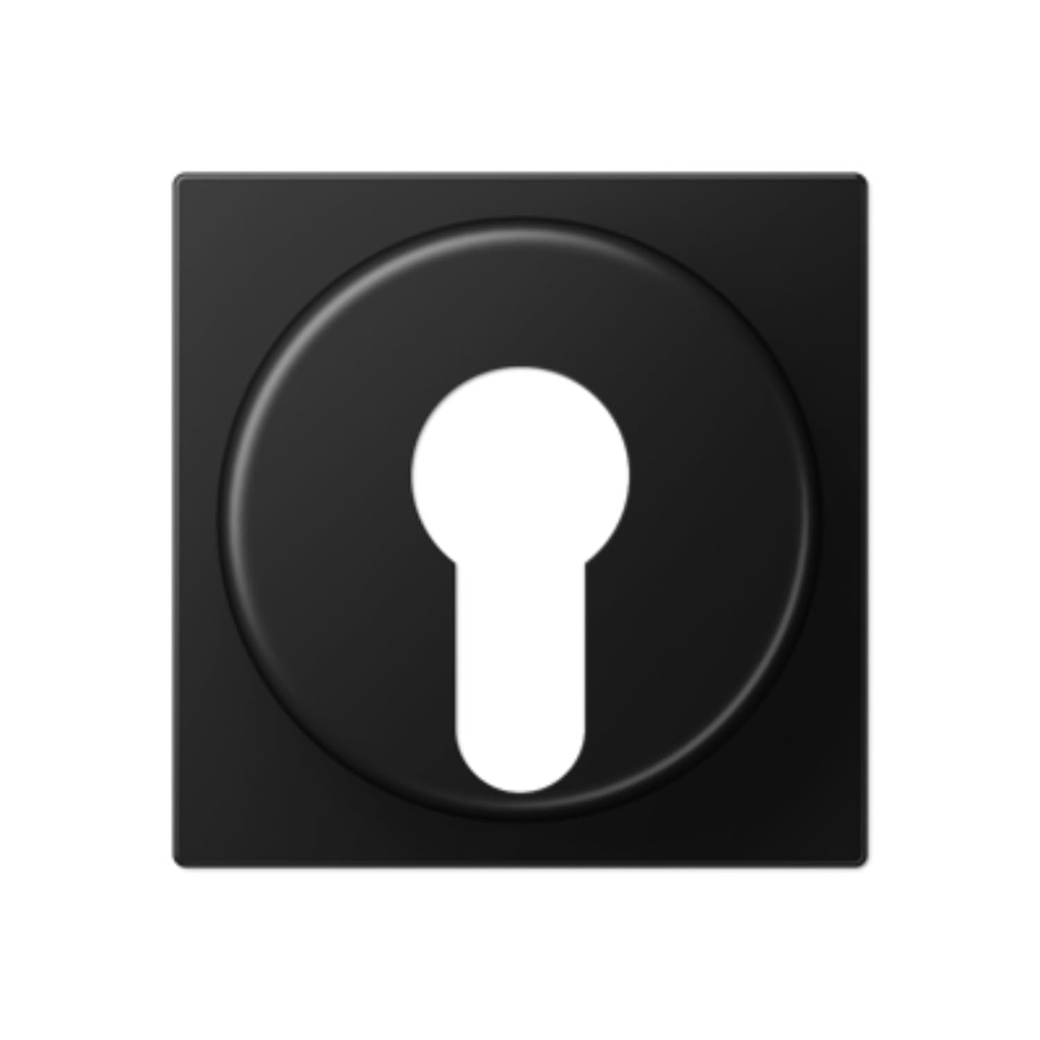 Plaque interrupteur clé A noir mat anti traces de doigts