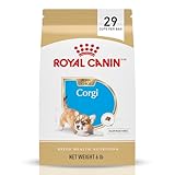 Royal Canin Corgi Puppy Dry Dog Food, Kibble for Corgis 2 to 12 Months, Supports Digestion and Bone and Joint Support 6 lb Bag