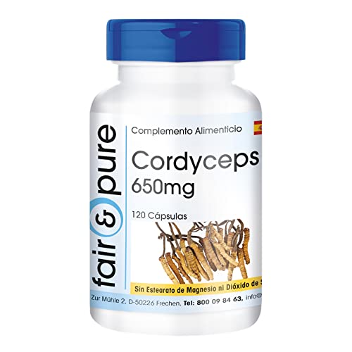 Fair & Pure® - Cordyceps Sinensis puro y vegano - Polvo encapsulado - Cordyceps 650mg - Alta pureza - 120 Cápsulas