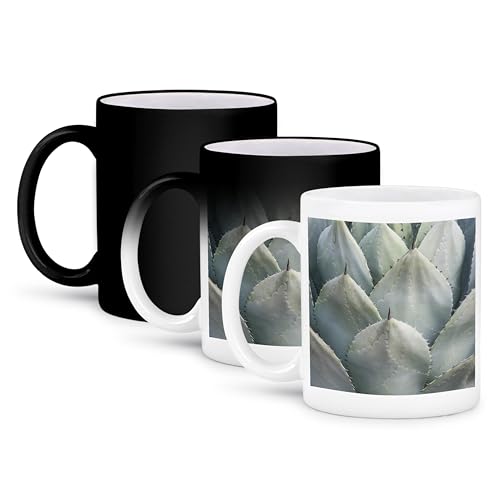 3dRose, Arizona, Phoenix. Desert Botanical Garden, agave, 11oz Magic Transforming Mug