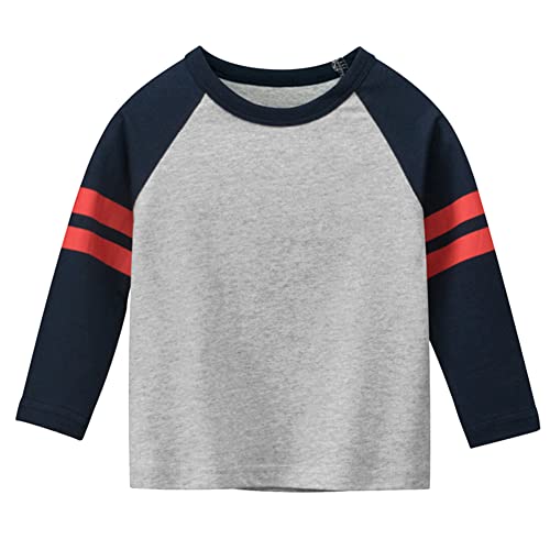 Julerwoo Toddler Boys Cotton Dinosaur T Shirt 3 Pack Long Sleeve Shirts Top for 2-8 Years4