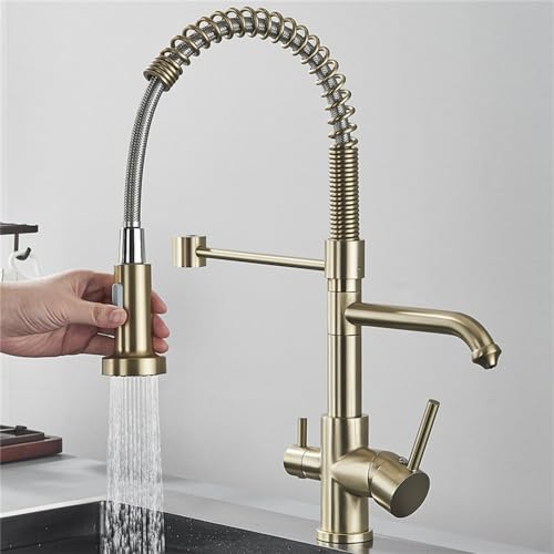 Robinet de filtre à eau pure cuisine pour eau potable saine et repas en famille or brossé