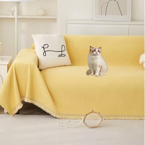 HIMENO \t@[Jo[ h }`Jo[ ` 唻 邾 k \t@[Jo[ 3l| 2l| I IȂ VFj[  L΍ uPbg tWt JE` xbhJo[ 1l| 4l| n _炩y z