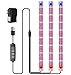 Plant LED Grow Light petite lampe de croissance avec 10 niveaux dimmables et 3 modes de commutation de lumière Lampe LED pour plantes avec minuterie 3/9 / 12H pour plantes d'intérieur