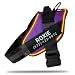 DOGGYKINGDOM Personalized Light Up Dog Harness with Custom Name Patches, Reflective, USB Rechargeable Rainproof Module with 3 Modes for up to 48h, No Choke, Adjustable, Large Dogs, Purple, XL