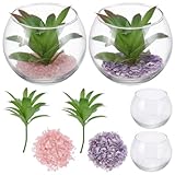 WEBEEDY 2 Sets DIY Glas Pflanze Terrarium Kit für Erwachsene, Mini-Terrarium Starter Kit mit Pflanzen, Kristalle, Mikro-Landschaft DIY Kit für Home Party Decor Geburtstagsgeschenk