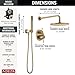 Delta Modern 14 Series Round Rain Shower System Faucet Set, Rainfall Brushed Gold Shower Head and Handle Set, Valve Trim Kit, 10 Inch, Champagne Bronze 342702-CZ