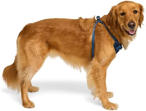 EveryYay by Petco Step in Dog Harness Navy Medium