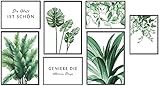 KAIRNE 7er Set Premium Poster,Moderne Poster Set Wohnzimmer,Grüne Pflanzen Bild,Inspirierende Zitate Wandbild,Aquarell Grüne Blätt Monstera Bilder für Schlafzimmer Deko,3xDIN A3+4xDIN A4,Ohne Rahmen