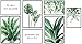 KAIRNE 7er Set Premium Poster,Moderne Poster Set Wohnzimmer,Grüne Pflanzen Bild,Inspirierende Zitate Wandbild,Aquarell Grüne Blätt Monstera Bilder für Schlafzimmer Deko,3xDIN A3+4xDIN A4,Ohne Rahmen