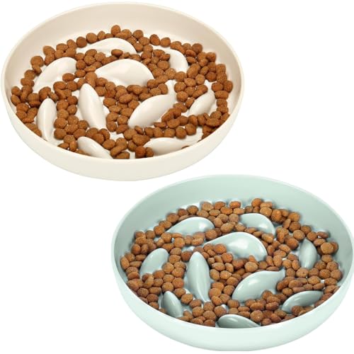 Gamelle anti-glouton pour chats PETTOM : pack de 2 gamelles à manger lent anti-vomissement