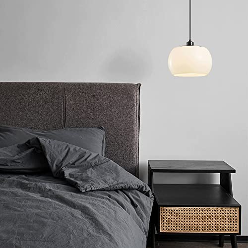 Lampe suspendue avec cache-pot intégré résout manque de verdure - 3