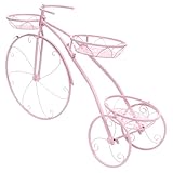 Supporto creativo per fiori in ferro: il supporto è realizzato in materiale sicuro e durevole, non facile da rompere, supporto per vasi da fiori a forma di bicicletta