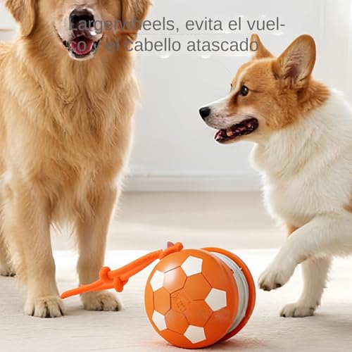 Boule roulante interactive pour chats avec corde de queue - 5