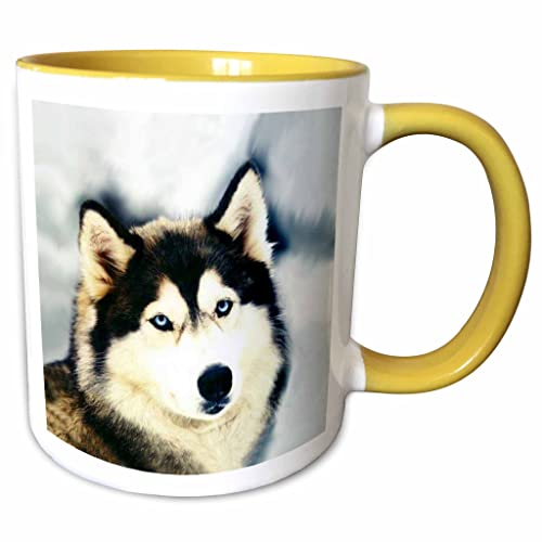 3dRose Staring Siberian Husky 11oz Two-Tone Yellow Mug