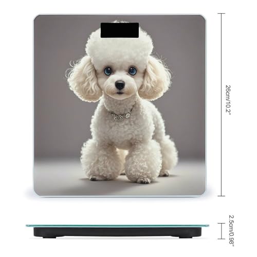 Poodle Báscula Digital para Baño Precisa y Moderna miniatura 2