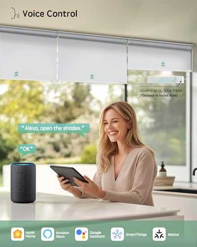 Smart Curtain Motor with Remote