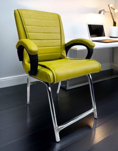 Image of Special Director Principal Manager Office Visitor with arm Rest with Double Pipe Frame and Cushioned seat Back (1, Green, H Frame)