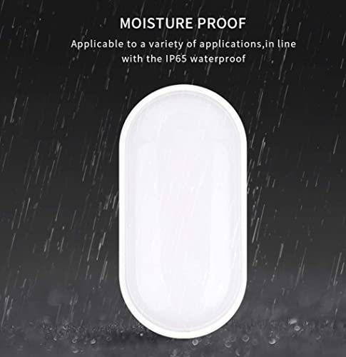 Image of Sturlite Aster LED 20W Bulkhead | Outdoor Waterproof | Wall Light for Home and Office