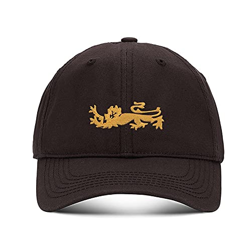 Gorra bordada Inglaterra Lions de algodón lavado marrón miniatura 1