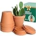 vensovo 15,2 cm Tontopf für Pflanze mit Untersetzer – 4 Stück großer Terrakotta-Blumentopf mit Drainageloch, Blumentopf mit Tablett, Terrakotta-Topf für Innen- und Außenbereich