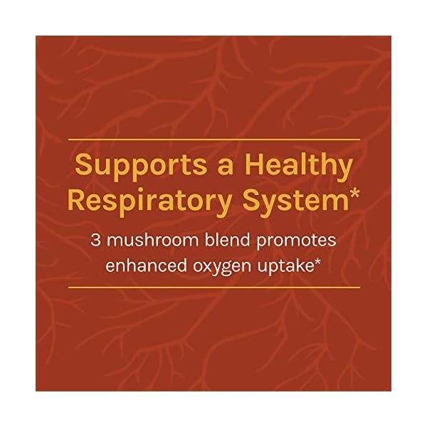 Host Defense Breathe* Powder Immune & Respiratory Support Mushroom Supplement Herbal Lung