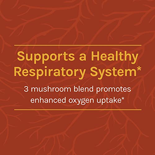 Host Defense Breathe* Powder - Immune & Respiratory Support Mushroom Supplement - Herbal Lung Health Support Supplement with Chaga, Reishi & Cordyceps - 3.5 oz (66 Servings)* - Image 3
