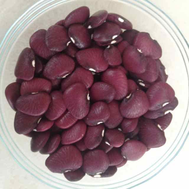 Semillas De Frijol Lunar (Phaseolus Lunatus) – Paquete Con Más De 10 Semillas – Variedad Enorme Y Fina – Fácil Cultivo Interior/exterior
