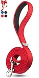 PetsLovers 2-Layer Dog Leash - Heavy Duty Strap, Padded Handle - 6 Feet Long, 1 Inch Wide