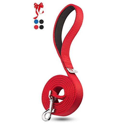 Durable Chew Resistant Dog Lead for Large Breeds