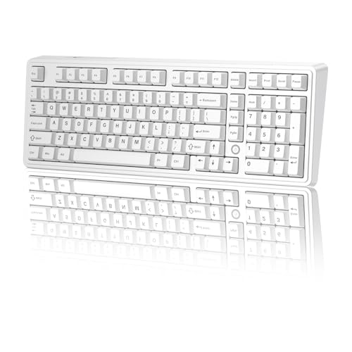 Ajazz AK980MAX �L�����C�����J�j�J���L�[�{�[�h 98%�z�b�g�X���b�v�\�J�X�^���L�[�{�[�h RGB�o�b�N���C�g�t�� �����ς݃X�C�b�` ABS�L�[�L���b�v MAC/Win/Visa/PC�Ή�