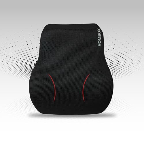 HOMBOX' Backrest for Chair I Orthopedic Memory Foam Lumbar Support Back/Lumbar Support (Air Mesh Black) Pack of 01 I FT1001 I