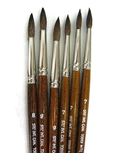 Tobgi Art 6 PCS Water Color Brushes Round Sizes #7 and #9