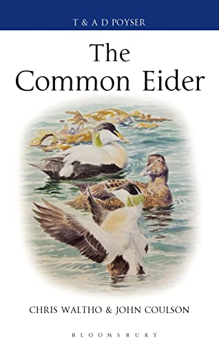 The Common Eider (Poyser Monographs) view 2