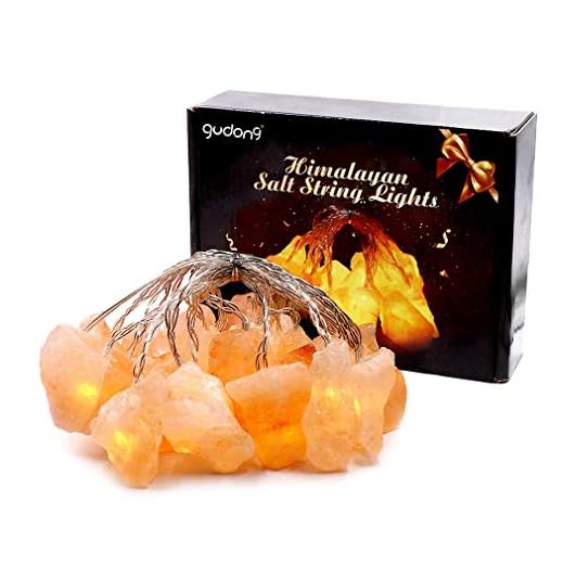 Himalaya salt ljusslinga med USB, naturligt rosa Himalaya salt kristall sten sovrum och heminredning salt lampa älva nattlampa kvalitetsgåva för barn, föräldrar, vänner (20 lampor)