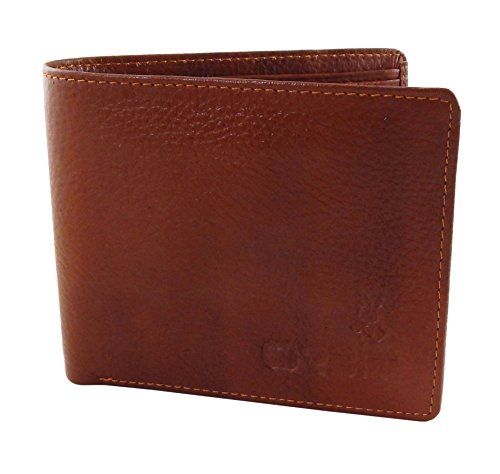 Image of Orbit Men's Genuine Leather Premium Wallet, Money Purse - 1580-Tan