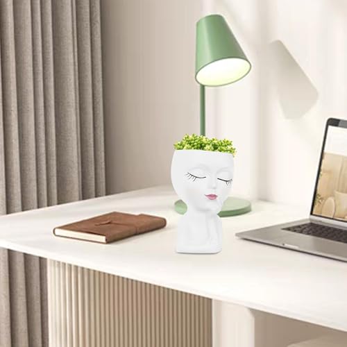 Sculpture en résine peinte à la main de 15 cm pour plante d'exception