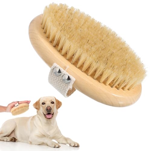 ERINGOGO ?ؐUuV ZGSm~bNfUC ɗDuVѕt  GΉ ybgpp pr{fBXNo[