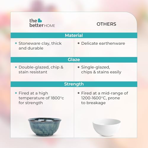 Image of The Better Home Terra Series Ceramic Bowl for Snack & Dinner(1Pcs - 800ml) Ramen Soup Bowl | Microwave Safe Chip Resistant | Dinnerware Snack Serving Bowl Set | Diwali Gift