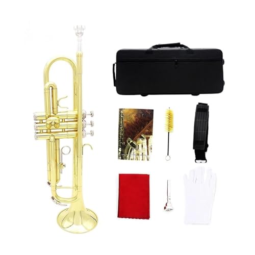 Wgybg Bb gybg^J{fBgybgZbg[{bNXANZT[v̋Ǌy B tbg(Color:2)