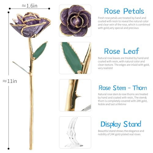 Rose trempée dans l'or 24 carats pour cadeau fête des mères et décoration romantique